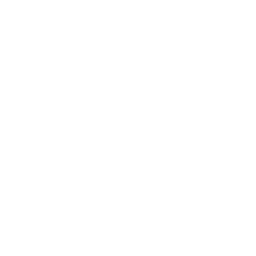 WordPress white
