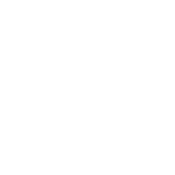 Security & Stability First icon